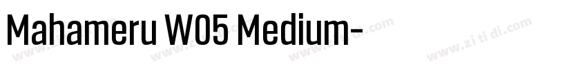 Mahameru W05 Medium字体转换